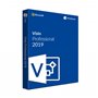 MICROSOFT VISIO PROFESSIONAL 2019 (WINDOWS)